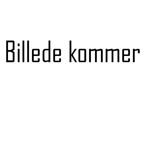 NPP Power litiumbatteri 24V/80Ah (Parallell + seriekoppling)