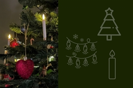 Julgranen med sitt pynt – så väljer du rätt gran, julgransbelysning och tillbehör