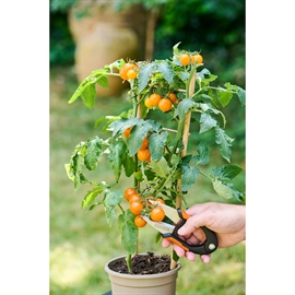 Black+Decker Blomstersax – 15 cm Rostfritt Stål, Svart/Orange