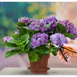 Black & Decker Blomstersax – 16 cm med säkerhetslås, svart/orange